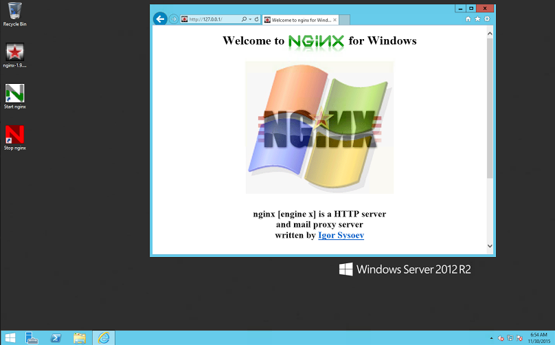 installed Nginx for windows view