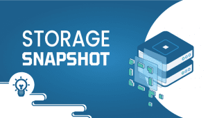 Storage-Snapshot