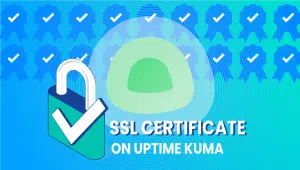 SSl Certificate On Uptime-Kuma