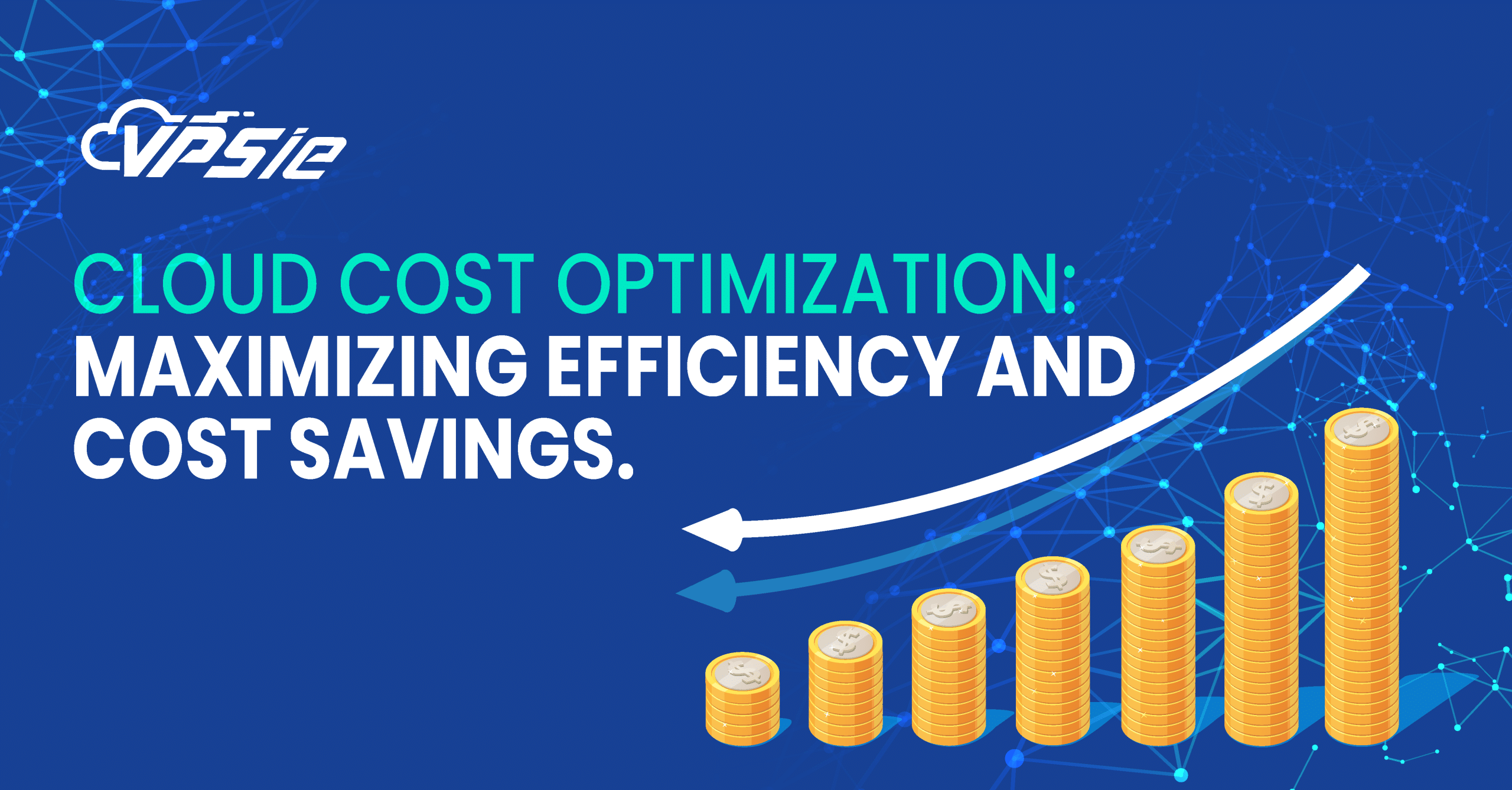 Could cost optimization